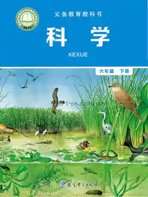 六年级科学下册电子课本目录(义务教育教科书)